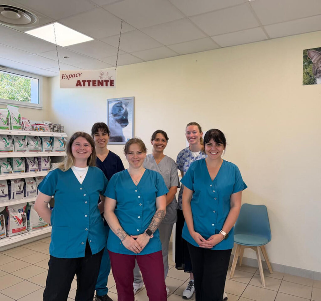 équipe de la clinique vétérinaire de la Sainte Croix à Douarnenez