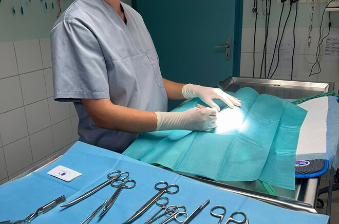 Chirurgie vétérinaire