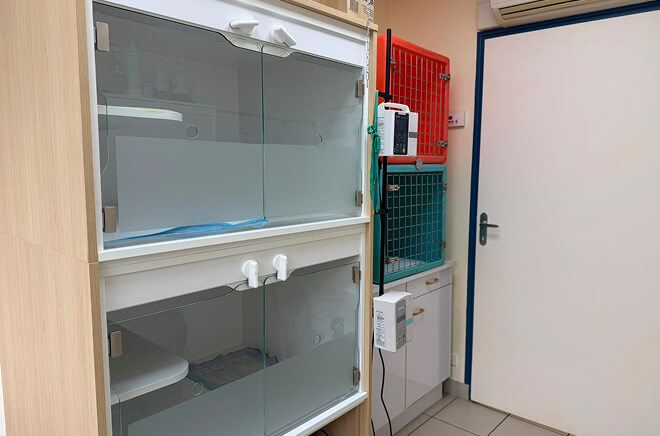 Hospitalisation vétérinaire