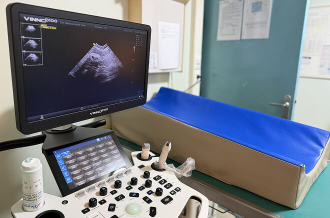 Imagerie vétérinaire